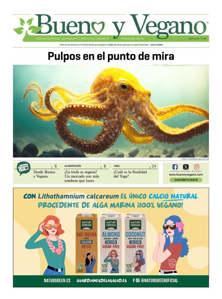 Bueno y Vegano Julio 2024