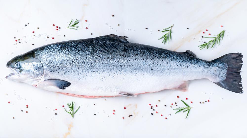 salmón