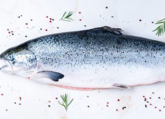 Organizaciones conservacionistas alertan a la UNESCO sobre el impacto del cultivo de salmón en el área del Patrimonio Mundial de Tasmania
