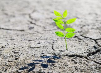 Resiliencia y desigualdades frente al cambio climático resiliencia