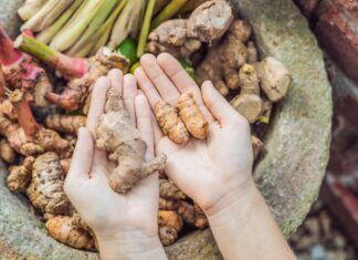 Jengibre, un superalimento sin igual Jengibre