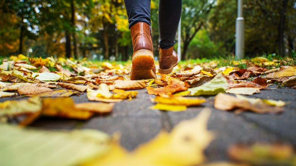 otoño