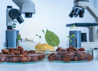 La biotecnología y su papel en el desarrollo de alternativas veganas más saludables biotecnología