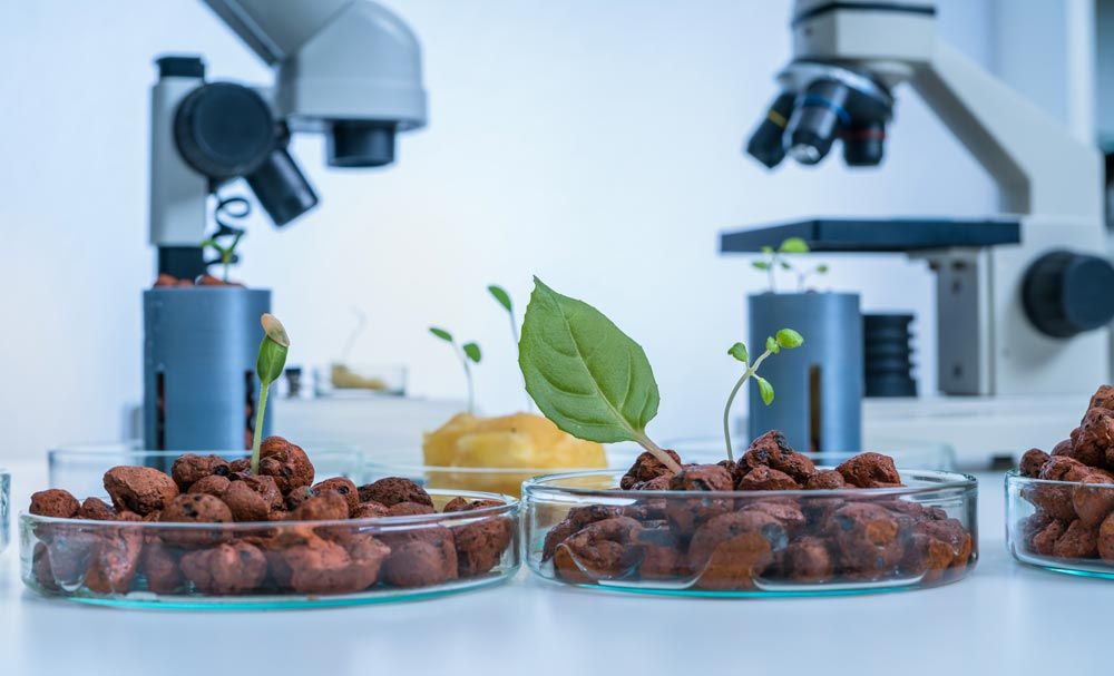 biotecnología 