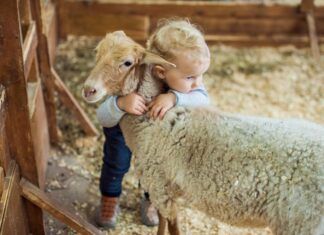 Niños y animales: más que una amistad Niños y animales