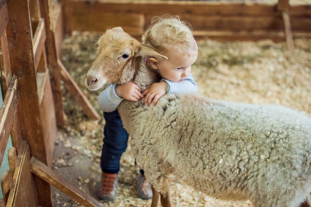 Niños y animales