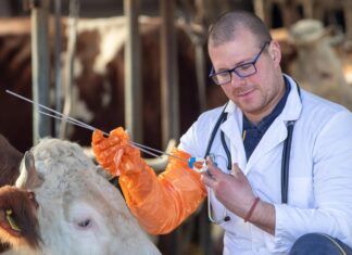 La manipulación biológica de animales no humanos manipulación biológica