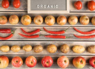 Las tendencias que marcarán el mercado de las proteínas vegetales en 2025 mercado proteínas vegetales