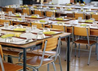 Más de 25 organizaciones exigen menús veganos en los comedores escolares: una cuestión de derechos y equidad menú vegano escuela