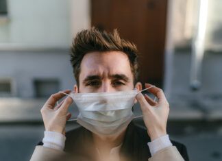 Las gripes aviar y porcina, potenciales causas de una próxima pandemia gripes aviar y porcina