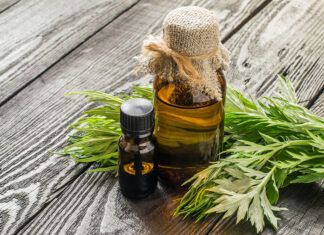 Fitoterapia: plantas medicinales para el hígado y la vesícula biliar hígado