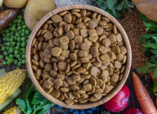 VeggieAnimals: ingredientes 100% vegetales y de máxima calidad para el bienestar de perros y gatos pienso`