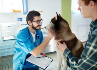 PRESVET: burocracia sanitaria que compromete la salud de los animales PRESVET