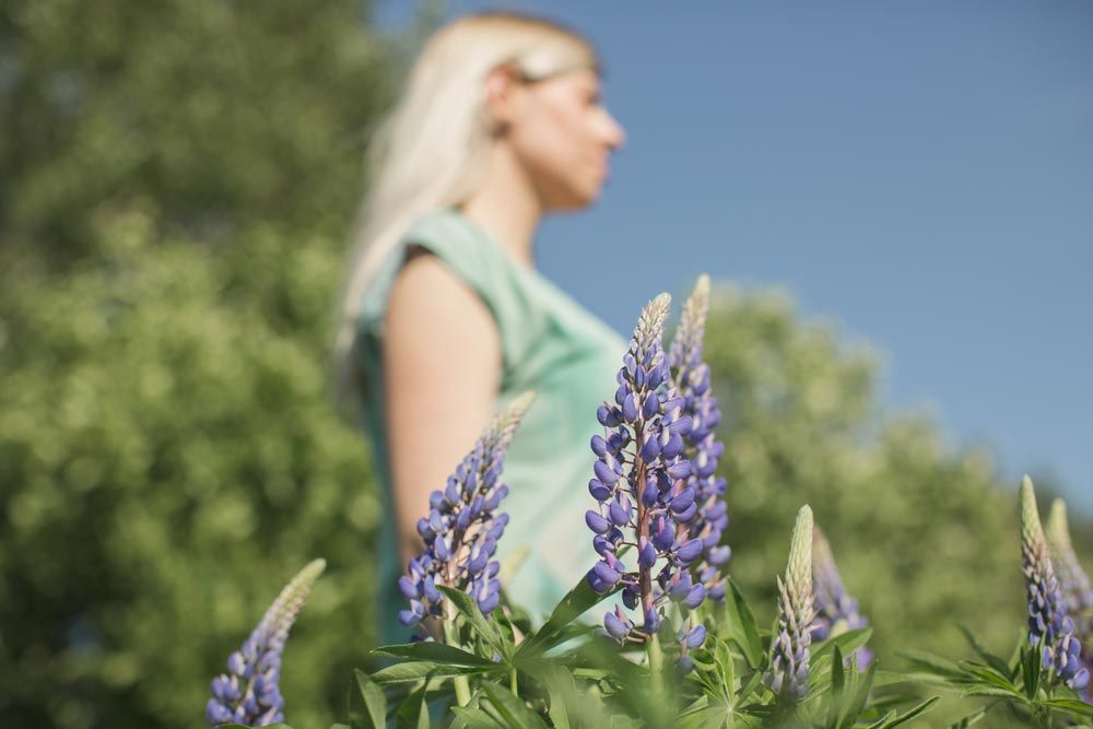 plantas medicinales menopausia
