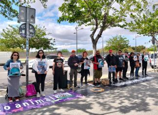 Activistas por la liberación animal protestan frente al Oceanográfico Oceanográfico