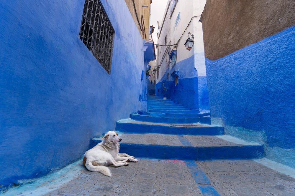 Marruecos 