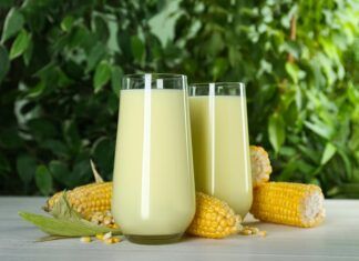 Maíz, patata o sandía: la nueva generación de las bebidas vegetales llega al mercado bebidas vegetales