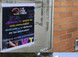 We The Free Valencia finaliza su pegada de carteles para buscar activistas que luchen por la defensa animal We The Free Valencia