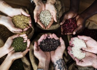 La alimentación vegetal es clave para una mayor seguridad alimentaria