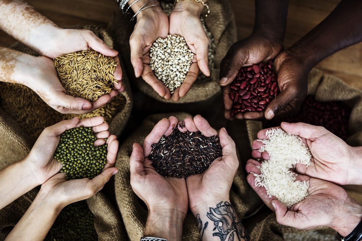 alimentación vegetal 