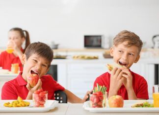 La nueva legislación alimentaria en España reconoce las comidas escolares vegetales como derecho comidas escolares vegetales