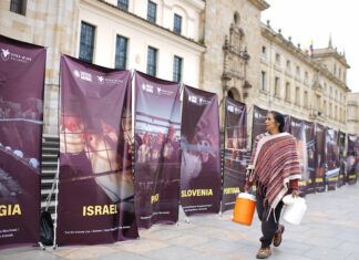Sinergia Animal denuncia malas prácticas en producción mundial de huevos con exposición fotográfica a gran escala exposición fotográfica calle Sinergia Animal