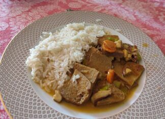 Una inmersión en la carne vegetal: ¿el Juego del Calamar Vegano? seitán, carne vegetal