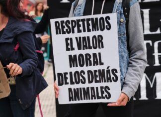 Colombia se consolida como referente regional en bienestar animal con tres decisiones históricas colombia