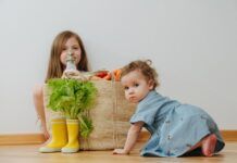 Veganismo en niños: ¿es seguro? ¿cómo planificarlo? veganismo niños