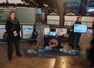 Activistas realizan una línea silenciosa en Valencia por los animales acuáticos línea silenciosa por los animales marinos en Valencia