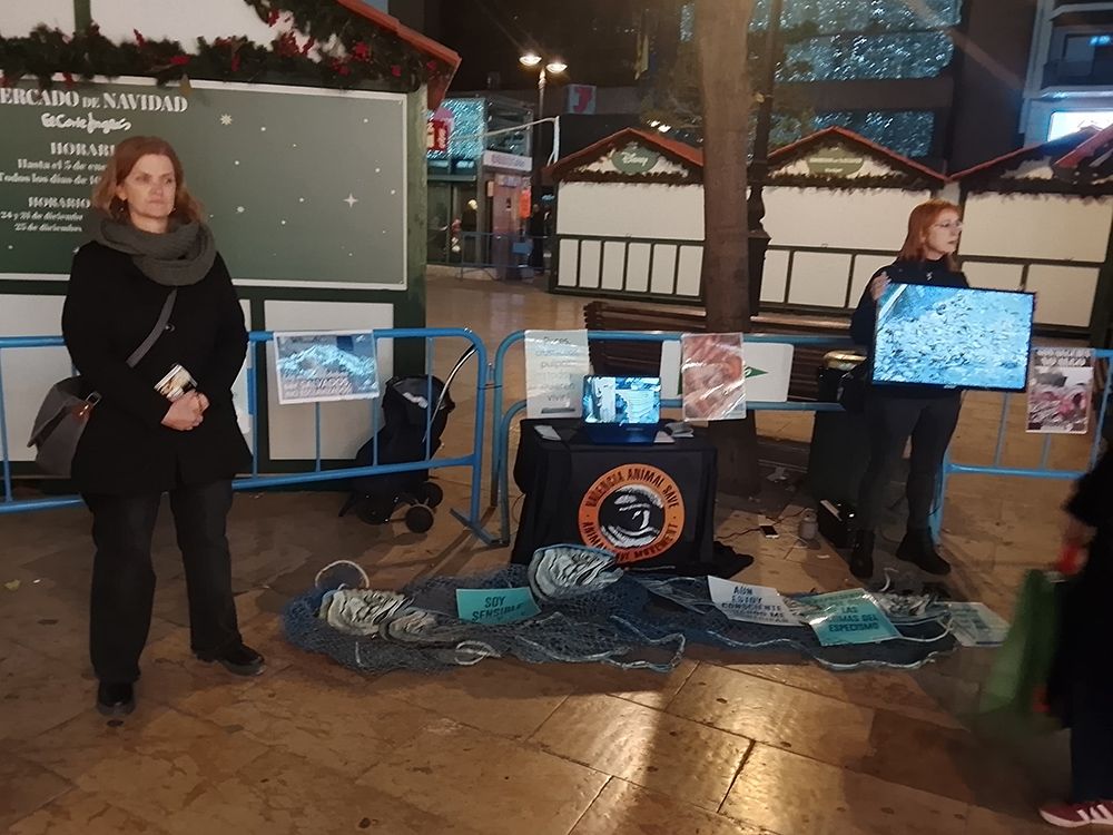 línea silenciosa por los animales marinos en Valencia