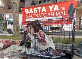 Tu moda es su sufrimiento: performance informativa sobre la industria peletera en Alicante performance informativa industria peletera en Alicante