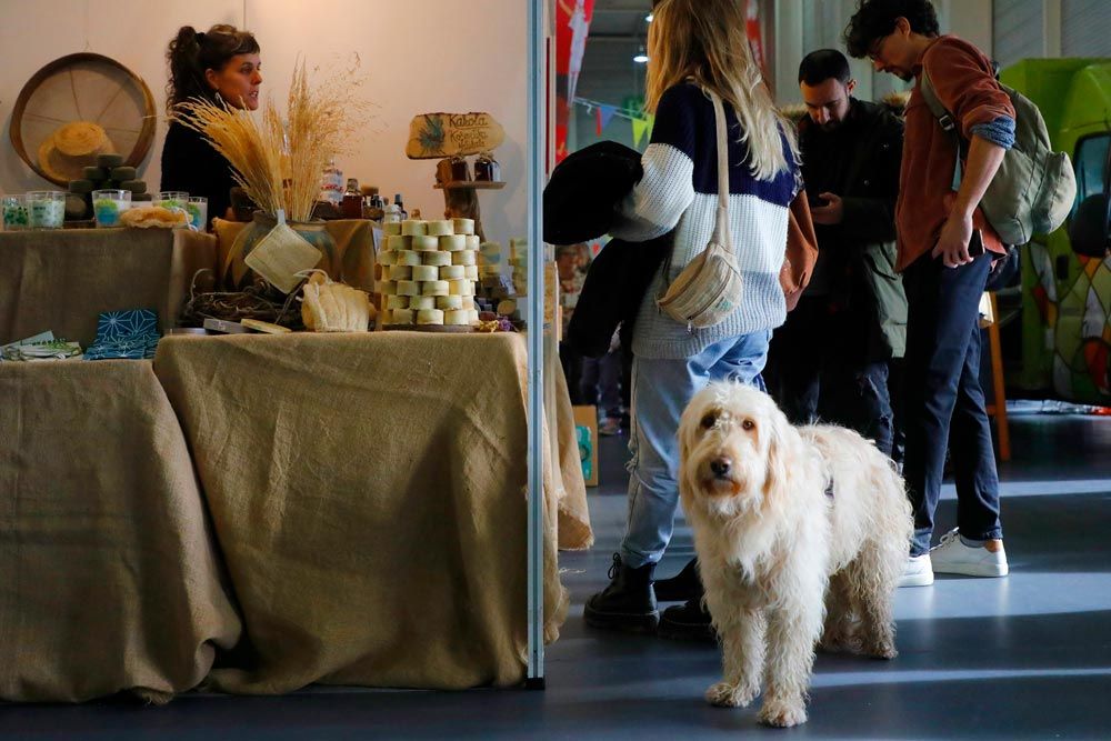 Be Veggie: el festival vegano de Euskadi