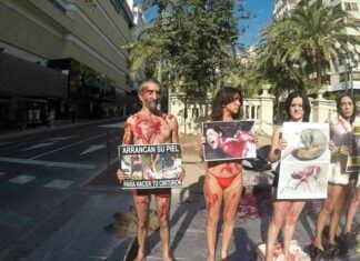 Performance en Alicante por el Día Internacional de los Derechos de los Animales Performance en Alicante por el Día Internacional de los Derechos de los Animales