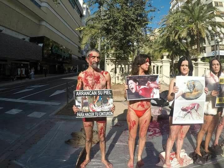 Performance en Alicante por el Día Internacional de los Derechos de los Animales