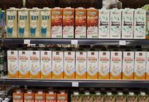 Bebida de avena: características y beneficios para la salud bebidas vegetales