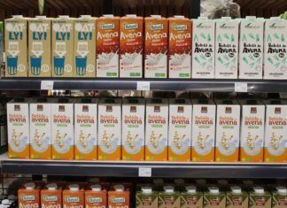 Bebida de avena: características y beneficios para la salud bebidas vegetales
