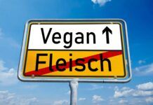 ¿Cómo hacer la transición al veganismo? veganismo