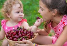 De temporada: cerezas The child eats cherries in the garden. Selective focus.
