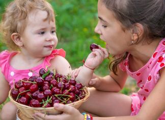 De temporada: cerezas The child eats cherries in the garden. Selective focus.