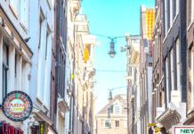 Europa mira a Ámsterdam: primera capital sin anuncios de carne ni combustibles fósiles Ámsterdam