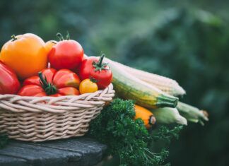 El Escaparate Vegano, Junio 2026 junio-vegano