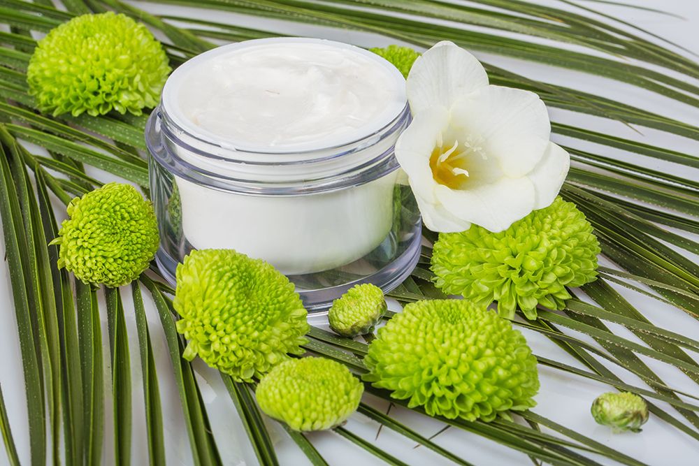 Face cream and olive twig