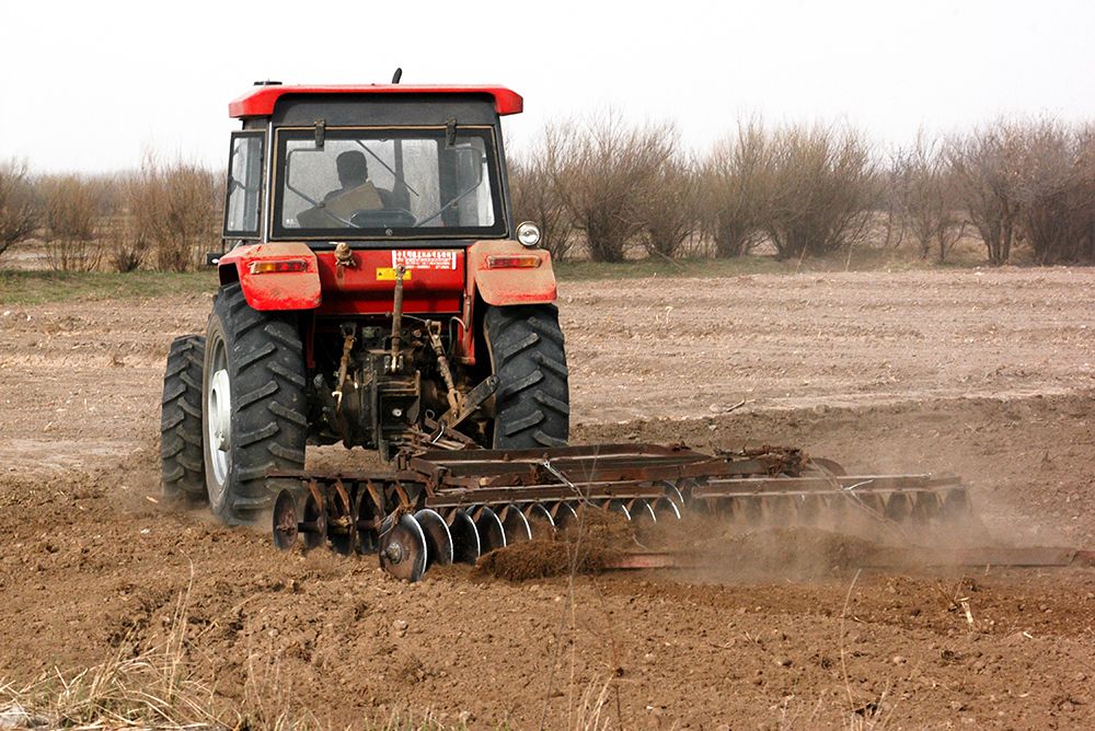 Grain sowing