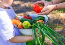 Niños y adolescentes son más abiertos a dietas sin carne Children in the garden with vegetables in their hands. Selective focus. nature.