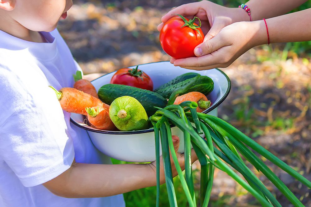 Children in the garden with vegetables in their hands. Selective focus. nature.