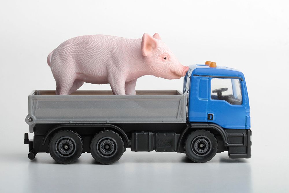 Toy truck