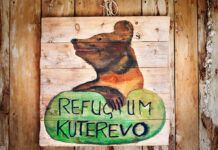 Croacia propone endurecer las penas por maltrato animal Croacia