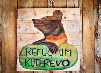 Croacia propone endurecer las penas por maltrato animal Croacia