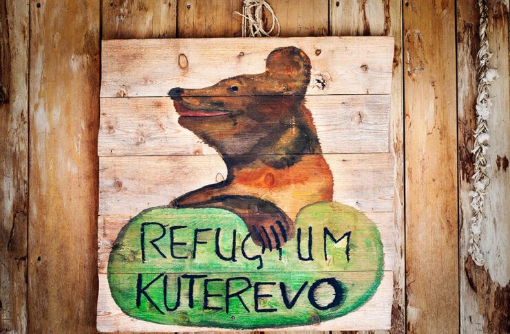 Croacia propone endurecer las penas por maltrato animal Croacia